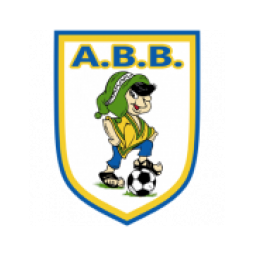 奈司特维德HG女足